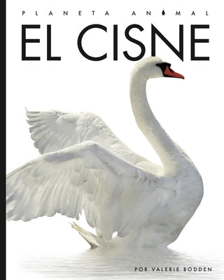 El Cisne by Bodden, Valerie