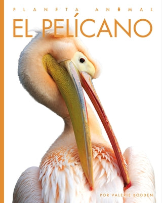 El Pelícano by Bodden, Valerie