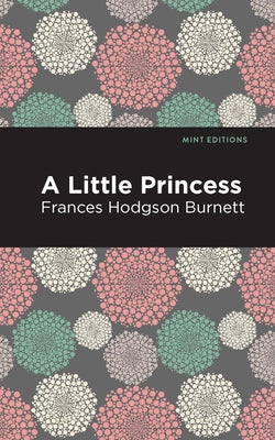 A Litte Princess by Burnett, Frances Hodgson
