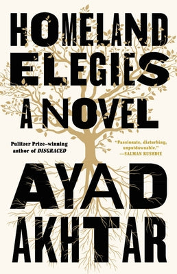 Homeland Elegies by Akhtar, Ayad