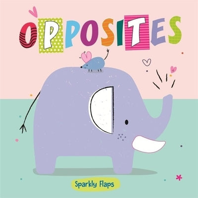 Opposites by Bailey, Sally