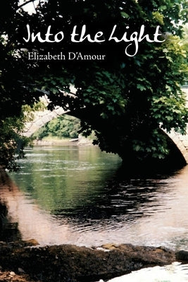Into the Light by D'Amour, Elizabeth