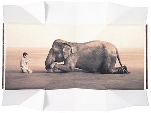 Boy Reading to Elephant by Colbert, Gregory