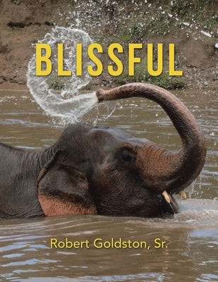 Blissful by Goldston Sr, Robert