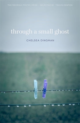 Through a Small Ghost: Poems by Dingman, Chelsea