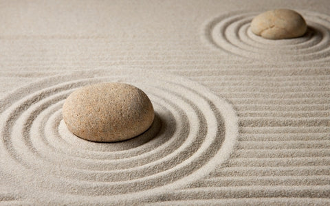 The Zen Way by Myokyo-Ni, Venerable