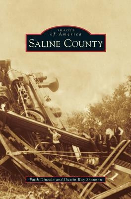 Saline County by Dincolo, Faith