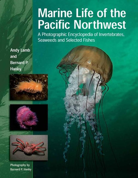 Marine Life of the Pacific Northwest: A Photographic Encyclopedia of Invertebrates, Seaweeds and Selected Fishes by Lamb, Andy