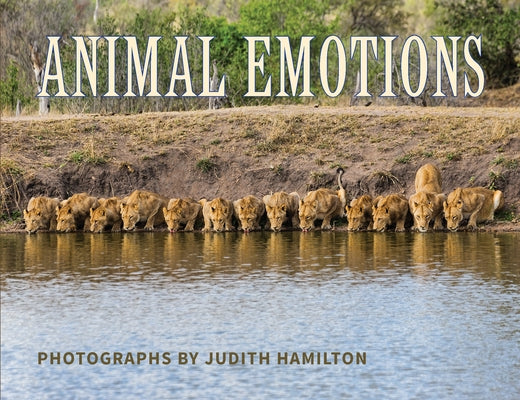 Animal Emotions by Hamilton, Judith
