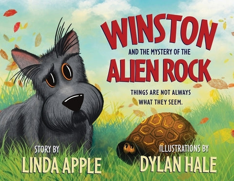 Winston and the Mystery of the Alien Rock by Apple, Linda