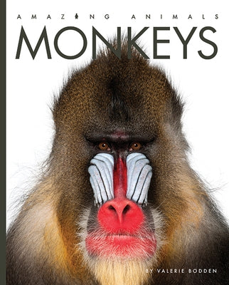 Monkeys by Bodden, Valerie