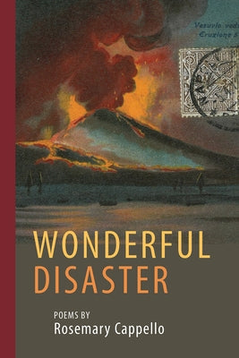 Wonderful Disaster by Cappello, Rosemary