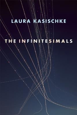 The Infinitesimals by Kasischke, Laura
