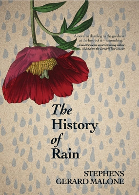 The History of Rain by Malone, Stephens Gerard