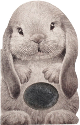 Furry Bunny by Auerbach, Annie