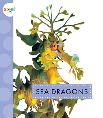 Sea Dragons by Schuh, Mari C.