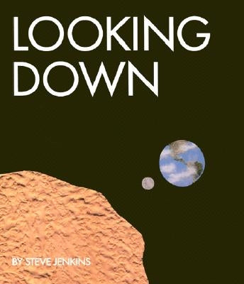 Looking Down by Jenkins, Steve