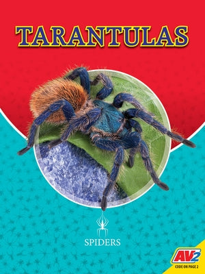 Tarantulas by Wiseman, Blaine