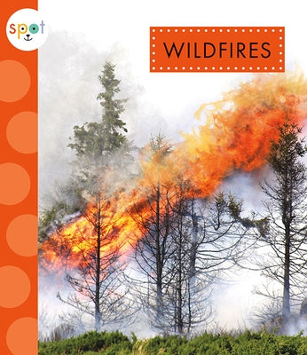 Wildfires by Suen, Anastasia