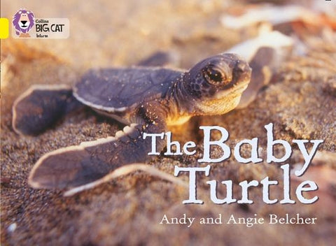 The Baby Turtle by Belcher, Andy