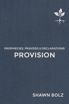 Provision, Volume 2: Prophecies, Prayers & Declarations by Bolz, Shawn