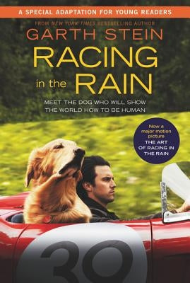 Racing in the Rain by Stein, Garth