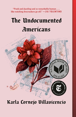 The Undocumented Americans by Cornejo Villavicencio, Karla