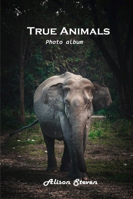 True Animals: Photo album by Alison Steven