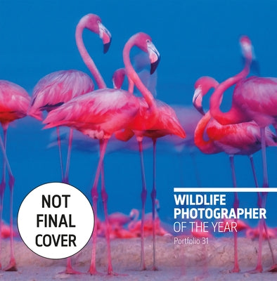 Wildlife Photographer of the Year: Portfolio 31, 31 by Kidman Cox, Rosamund