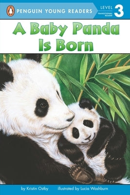 A Baby Panda Is Born by Ostby, Kristin