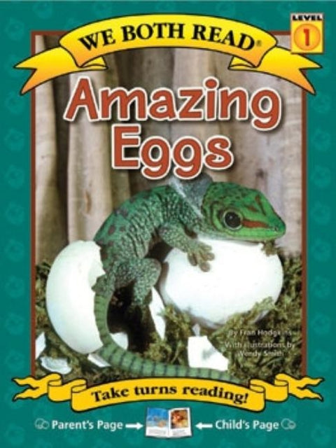 Amazing Eggs by Hodgkins, Fran