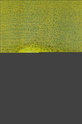 House and Fire by Hummel, Maria