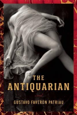 The Antiquarian by Faverón Patriau, Gustavo