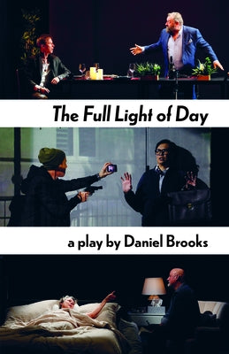 The Full Light of Day by Brooks, Daniel