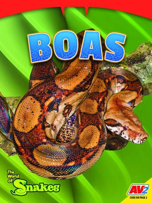 Boas by Wilson, Sierra