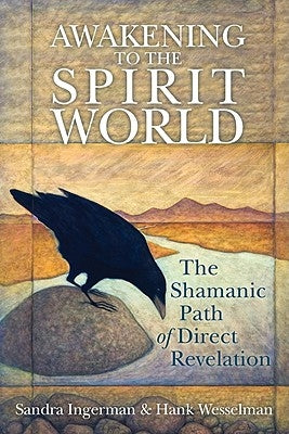 Awakening to the Spirit World: The Shamanic Path of Direct Revelation [With CDROM] by Ingerman, Sandra