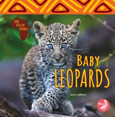 Baby Leopards by Culliford, Amy