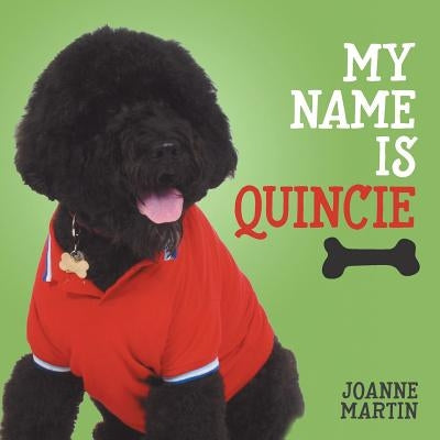 My Name is Quincie by Martin, Joanne
