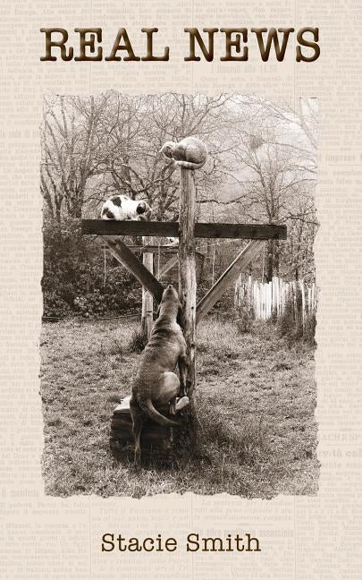 Real News by Smith, Stacie