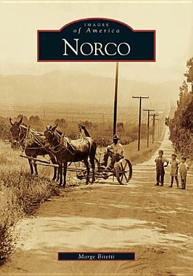 Norco by Bitetti, Marge