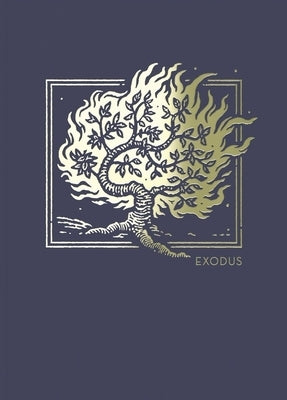 Net Abide Bible Journal - Exodus, Paperback, Comfort Print: Holy Bible by Taylor University Center for Scripture E
