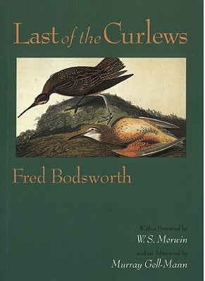 Last of the Curlews by Bodsworth, Fred