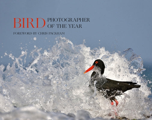Bird Photographer of the Year: Collection 5 (Bird Photographer of the Year) by Bird Photographer of the Year