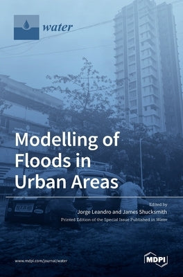 Modelling of Floods in Urban Areas by Leandro, Jorge