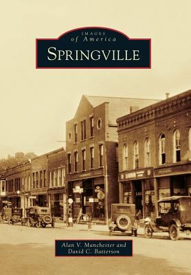 Springville by Manchester, Alan V.