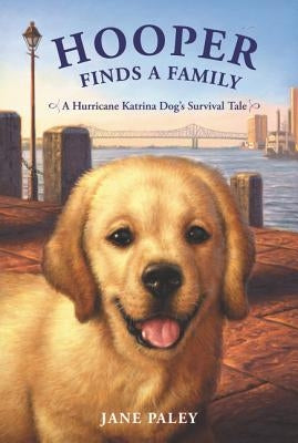 Hooper Finds a Family: A Hurricane Katrina Dog's Survival Tale by Paley, Jane