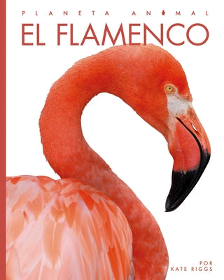 El Flamenco by Riggs, Kate