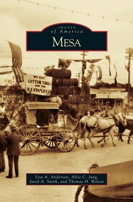Mesa by Anderson, Lisa A.