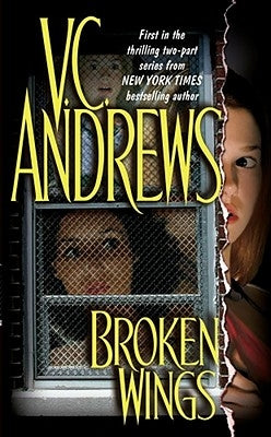 Broken Wings, Volume 1 by Andrews, V. C.