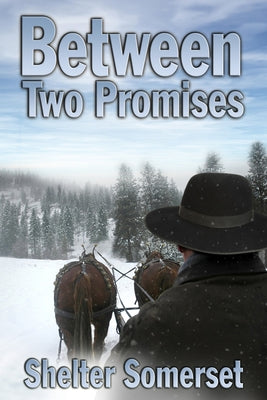 Between Two Promises by Somerset, Shelter